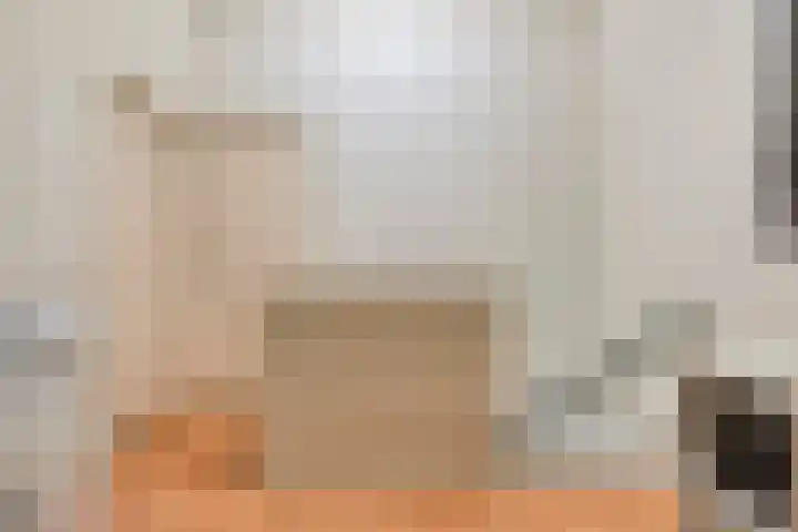 Wilhelminastraat 15 Boekel thumbnail 27