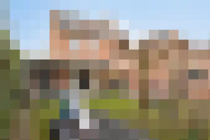 Wilhelminastraat 15 Boekel thumbnail 29