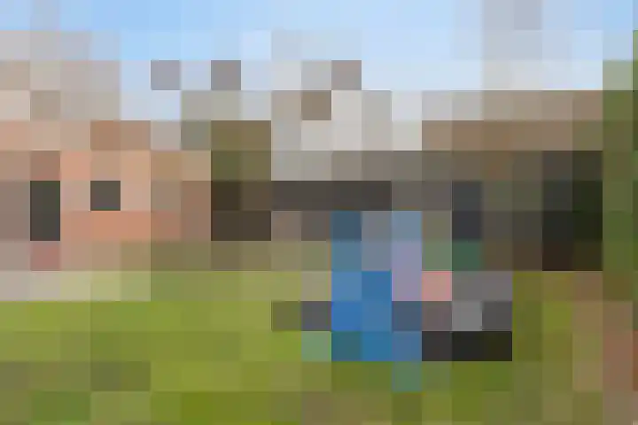 Wilhelminastraat 15 Boekel thumbnail 30