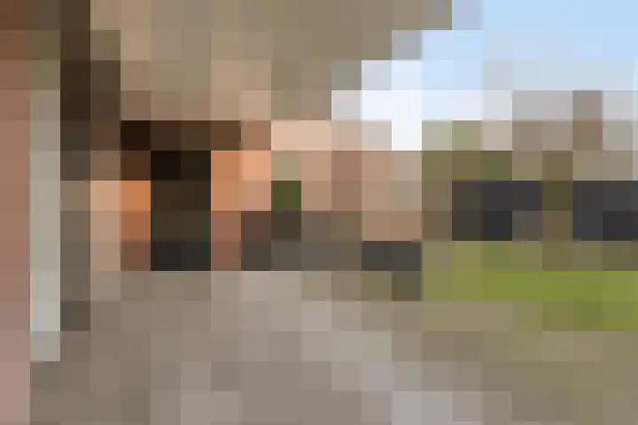 Wilhelminastraat 15 Boekel thumbnail 31