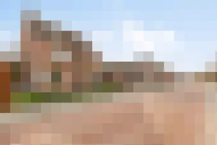 Wilhelminastraat 15 Boekel thumbnail 33