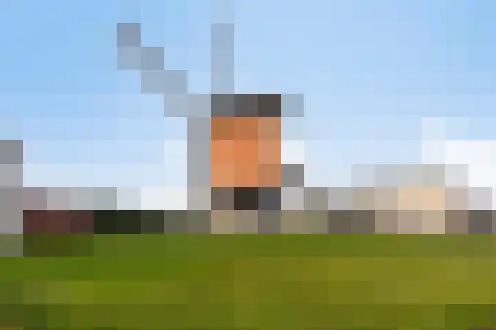 Wilhelminastraat 15 Boekel thumbnail 36