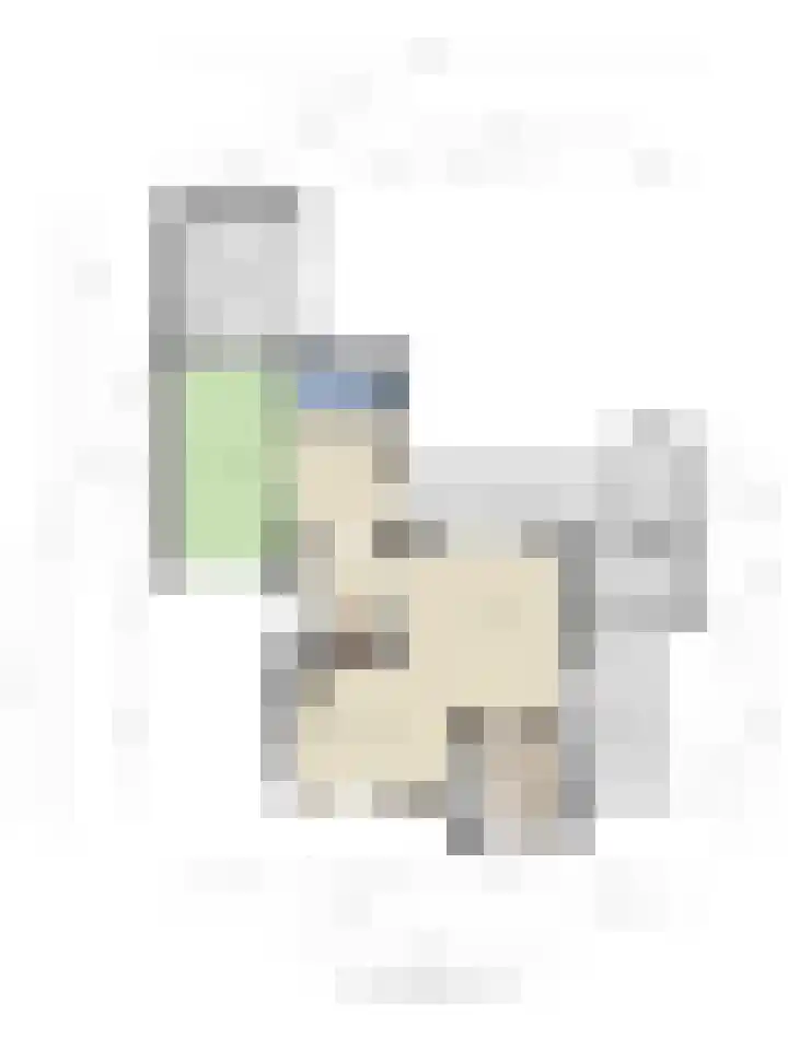 Wilhelminastraat 15 Boekel thumbnail 37