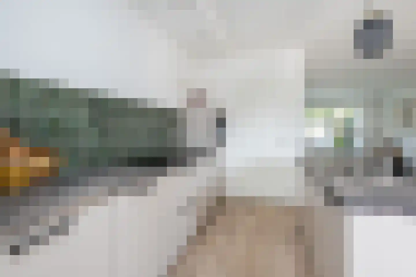 Wilhelminastraat 15 Middelharnis thumbnail 11