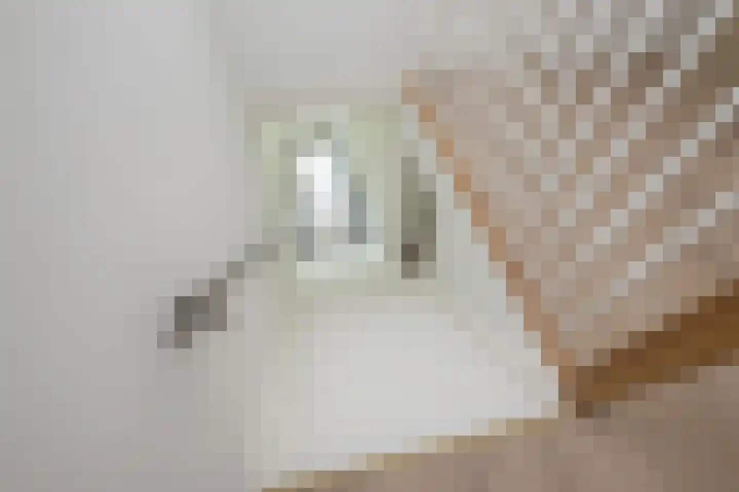 Wilhelminastraat 15 Middelharnis thumbnail 16