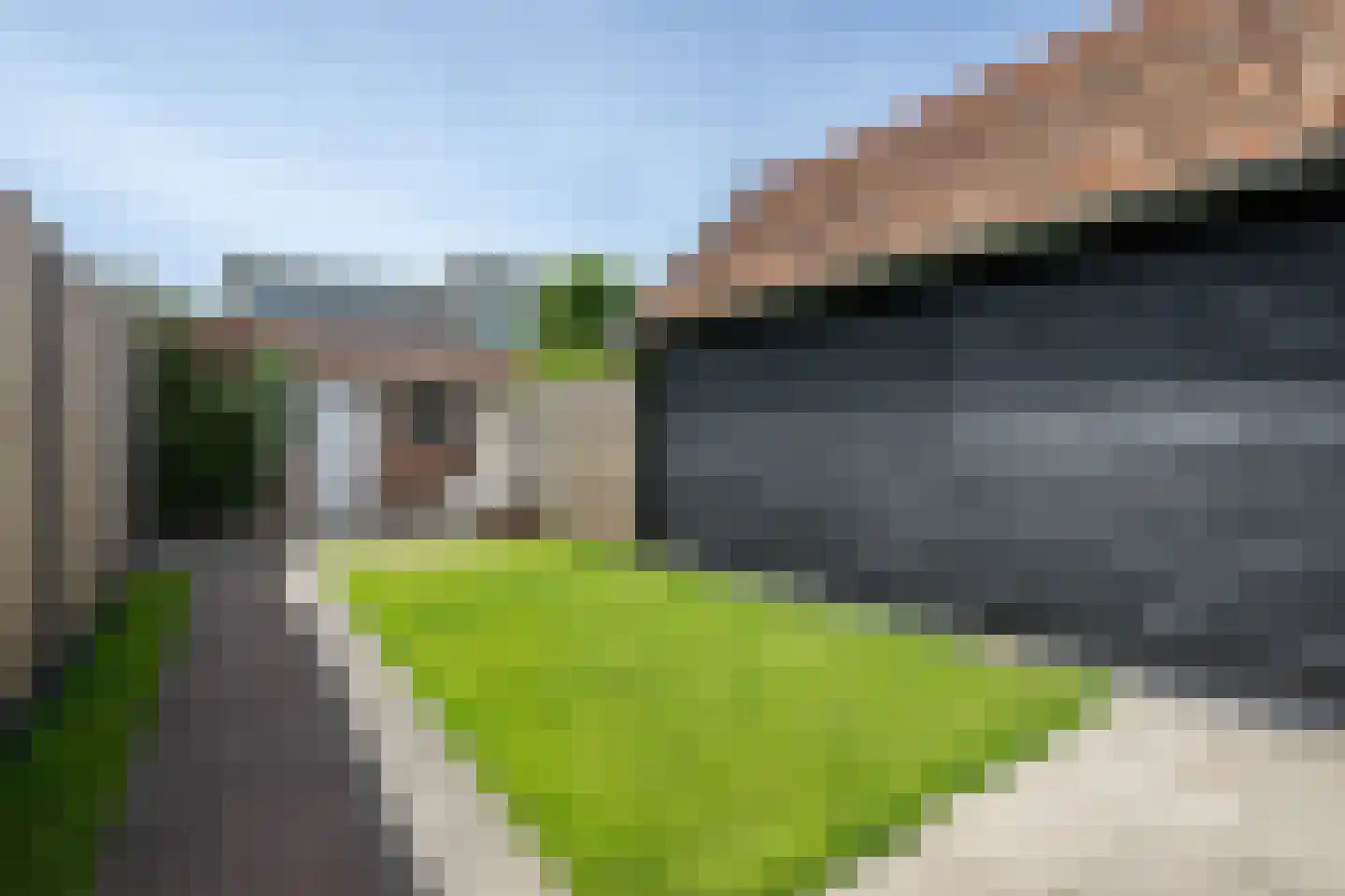 Wilhelminastraat 15 Middelharnis thumbnail 31