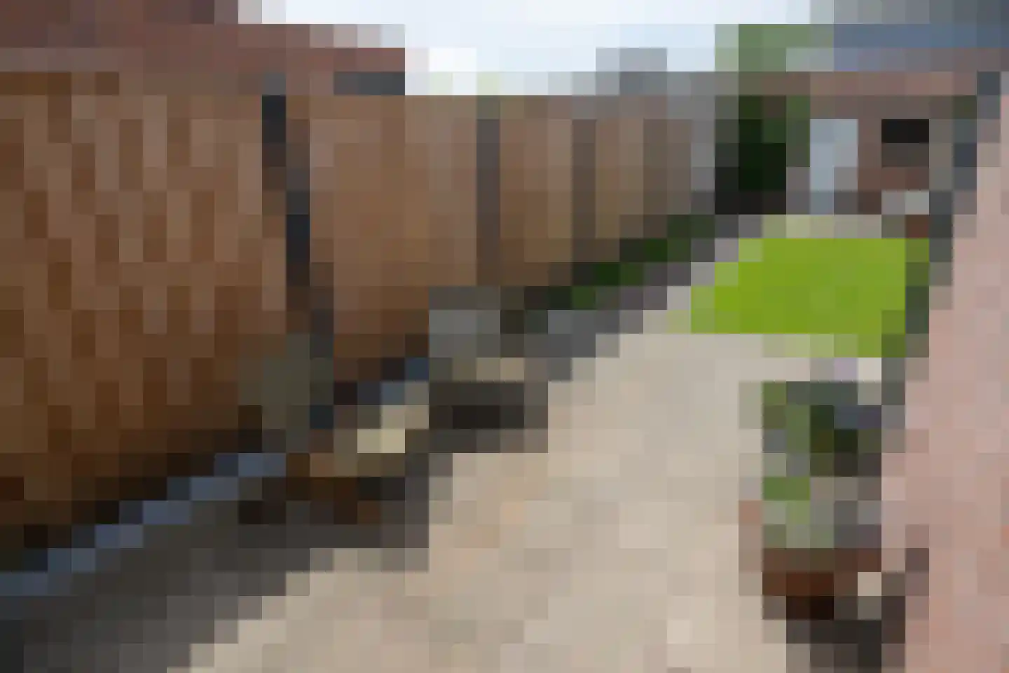 Wilhelminastraat 15 Middelharnis thumbnail 33
