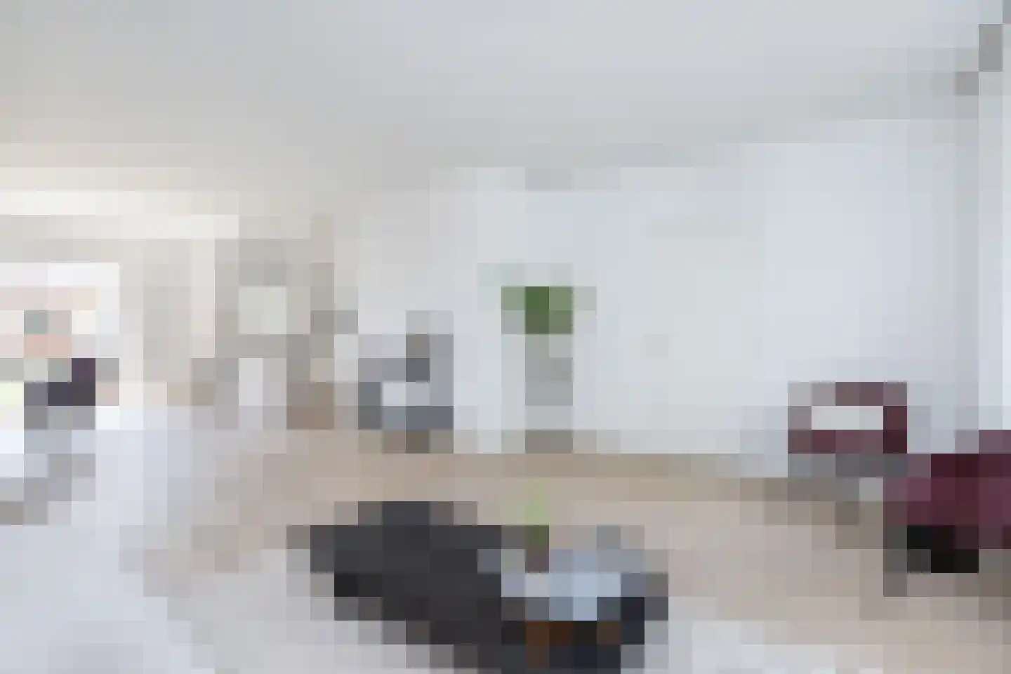 Wilhelminastraat 15 Middelharnis thumbnail 7