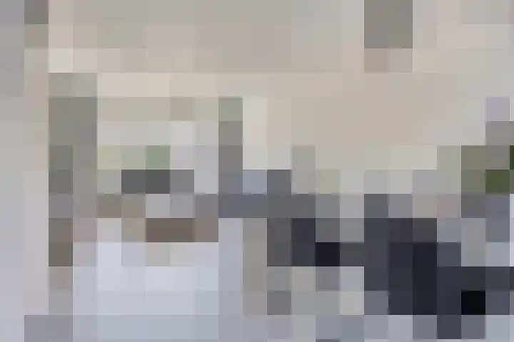 Wilhelminastraat 15 Nistelrode thumbnail 11