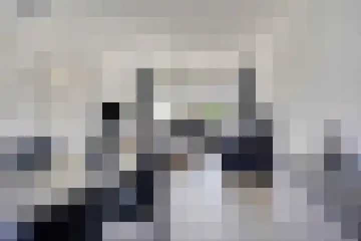 Wilhelminastraat 15 Nistelrode thumbnail 12
