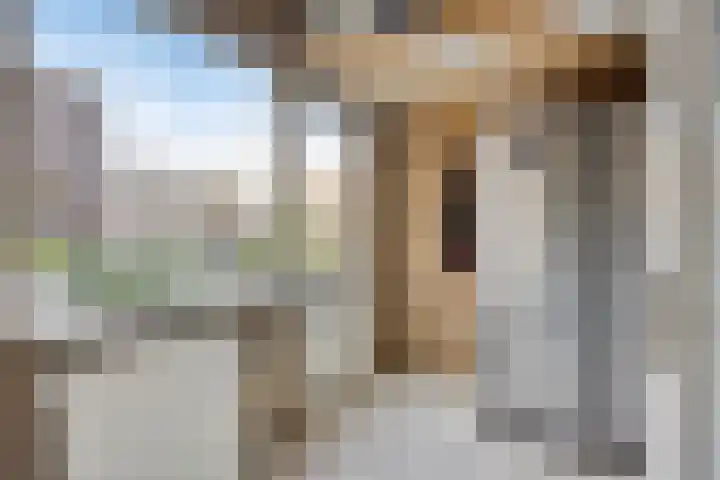 Wilhelminastraat 15 Nistelrode thumbnail 16