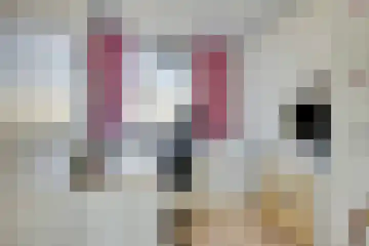 Wilhelminastraat 15 Nistelrode thumbnail 21