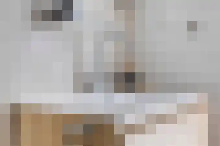 Wilhelminastraat 15 Nistelrode thumbnail 25