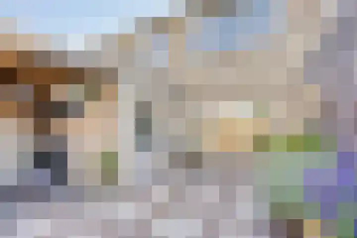 Wilhelminastraat 15 Nistelrode thumbnail 26