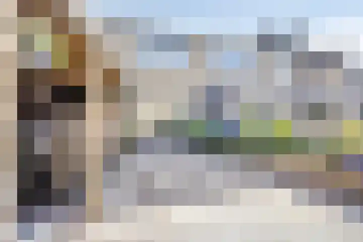 Wilhelminastraat 15 Nistelrode thumbnail 30