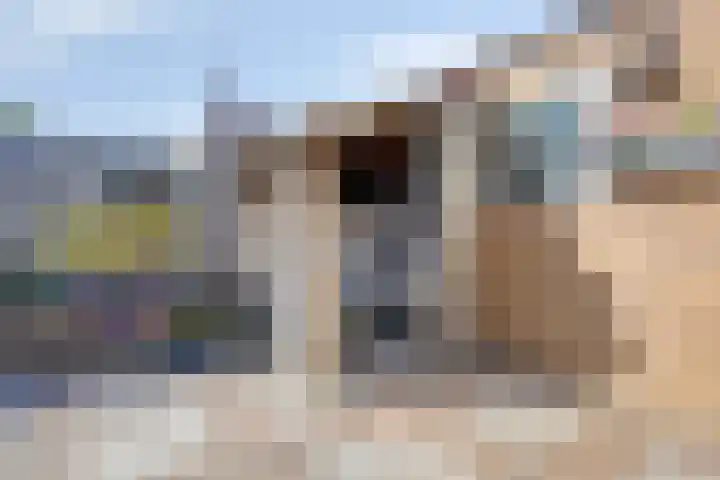 Wilhelminastraat 15 Nistelrode thumbnail 31