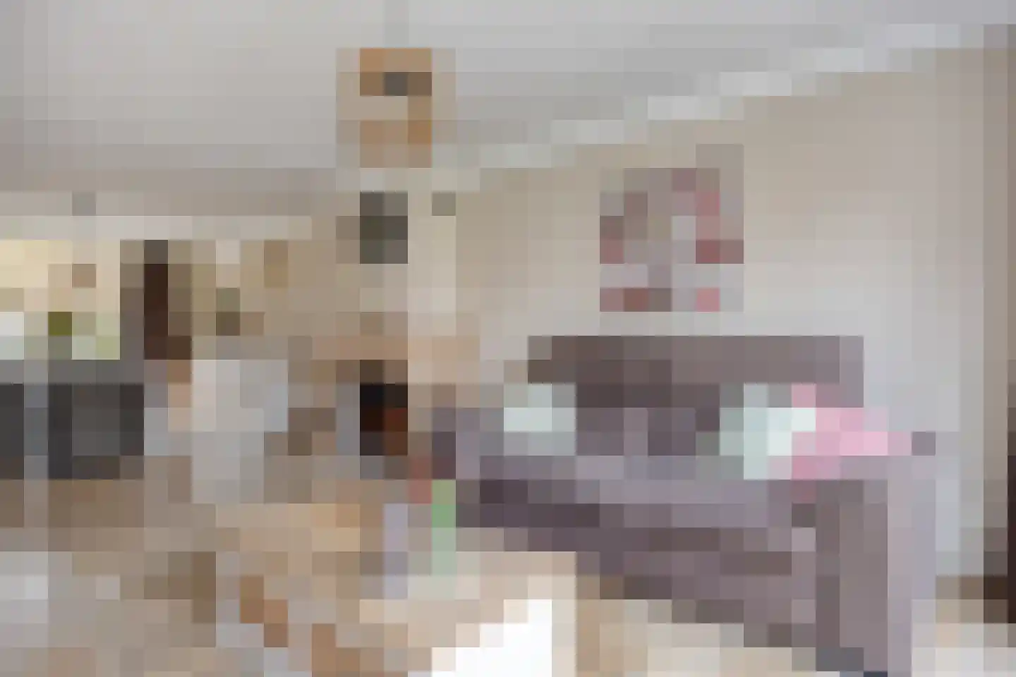 Wilhelminastraat 15 Rosmalen thumbnail 10