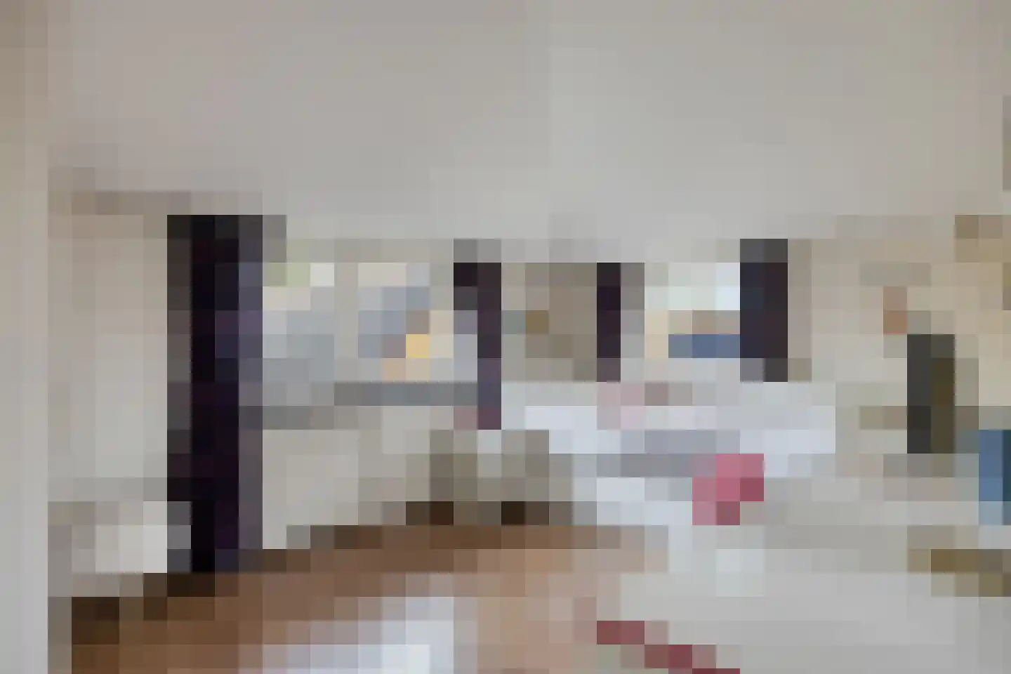 Wilhelminastraat 15 Rosmalen thumbnail 28