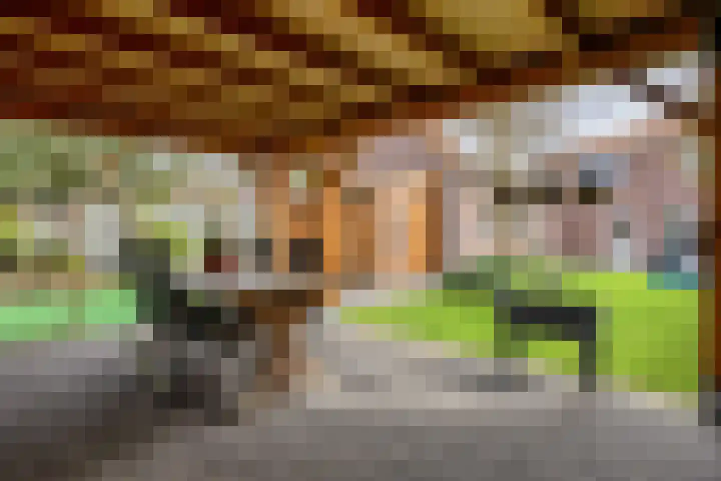 Wilhelminastraat 15 Rosmalen thumbnail 44