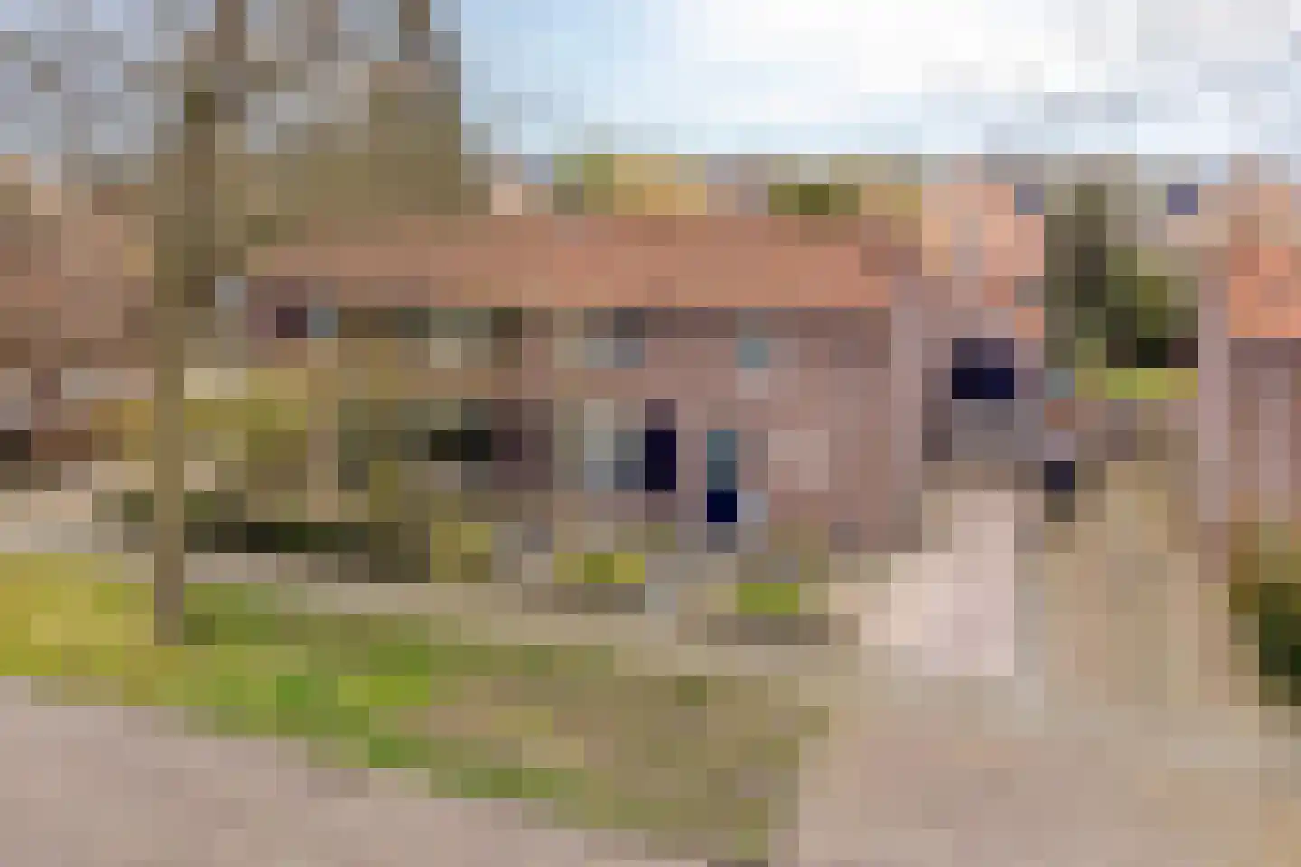 Wilhelminastraat 15 Rosmalen thumbnail 49