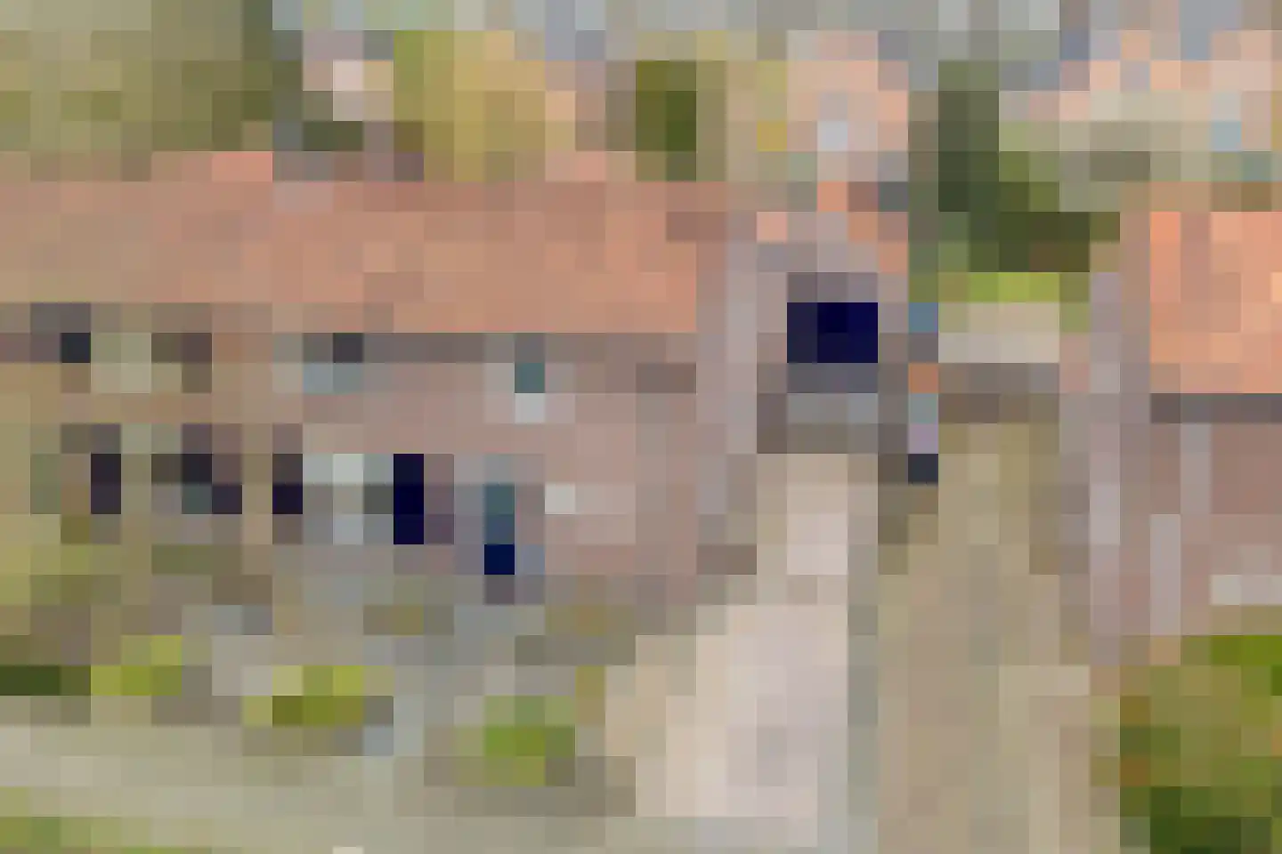 Wilhelminastraat 15 Rosmalen thumbnail 50
