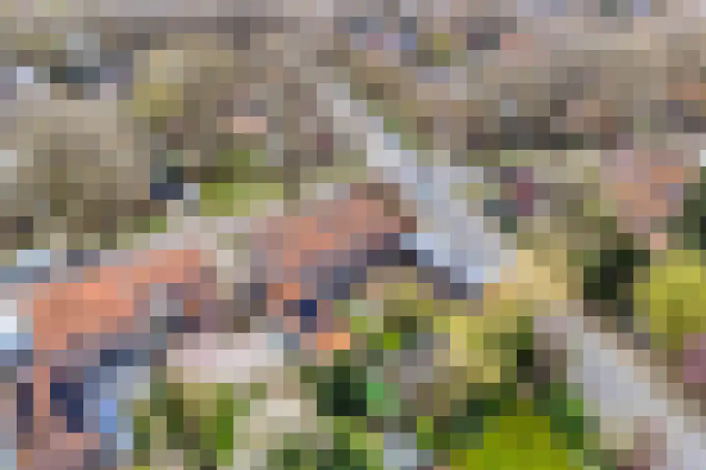 Wilhelminastraat 15 Rosmalen thumbnail 52