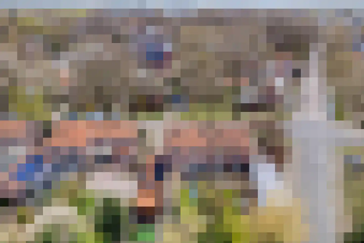 Wilhelminastraat 15 Rosmalen thumbnail 53