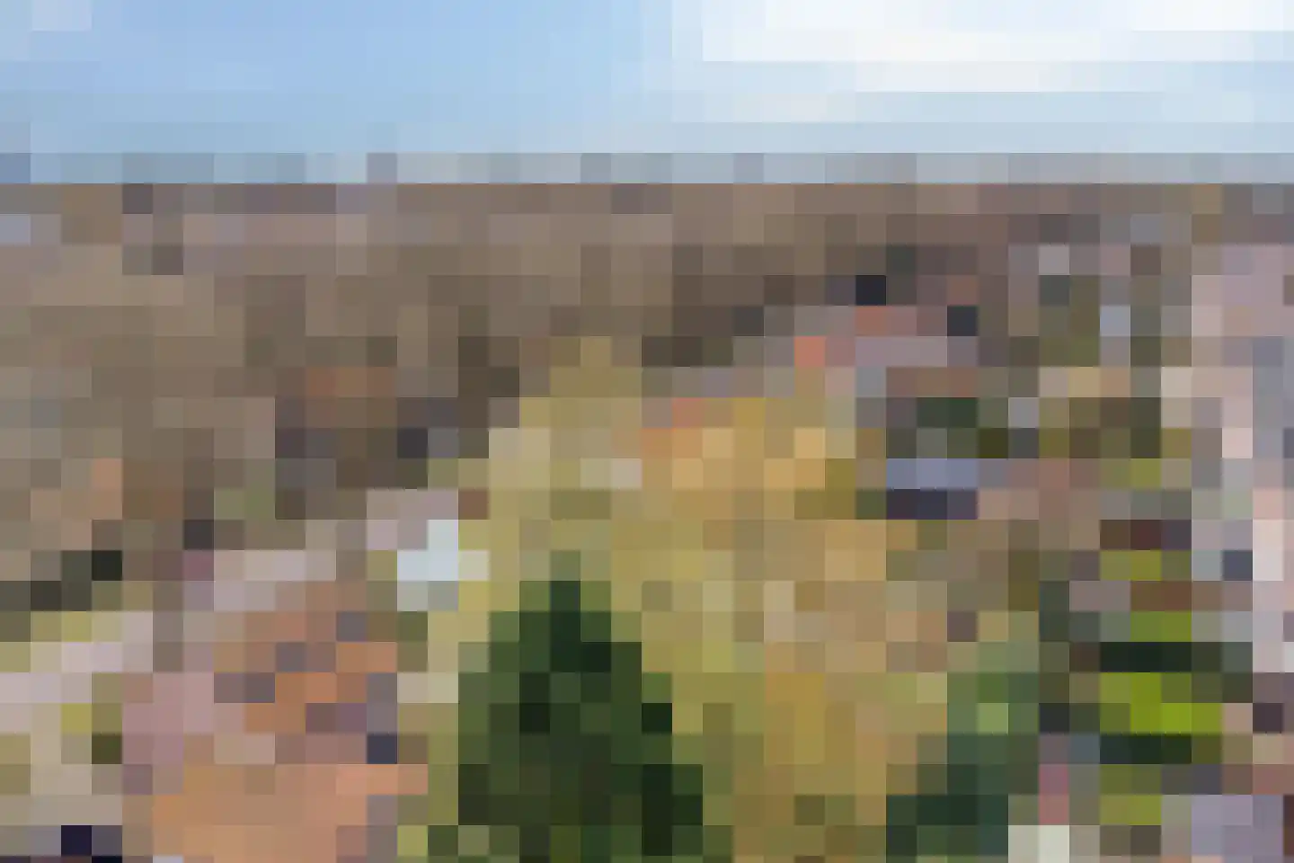 Wilhelminastraat 15 Rosmalen thumbnail 54
