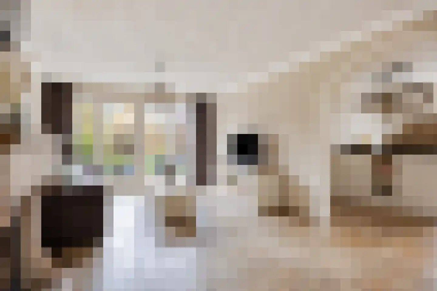 Wilhelminastraat 15 Rosmalen thumbnail 8