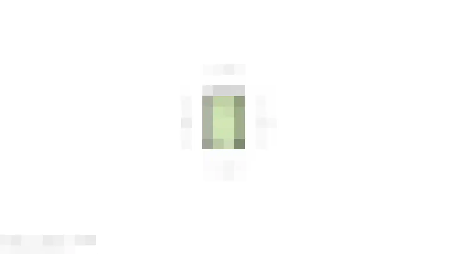Wilhelminastraat 15 Vlissingen thumbnail 42