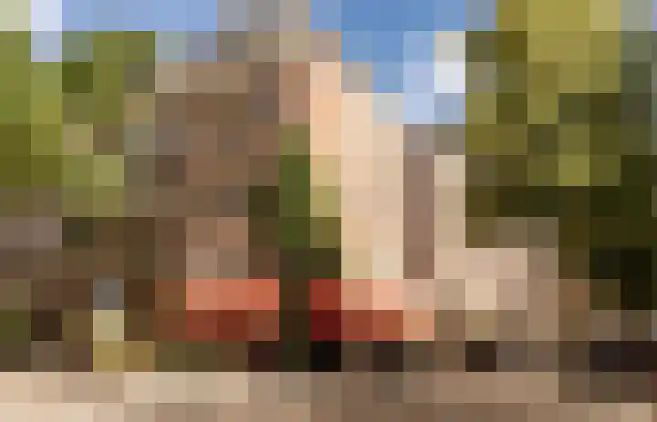 Wilhelminastraat 153 1 Amsterdam thumbnail 33