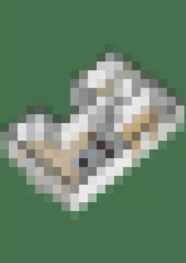 Wilhelminastraat 153 1 Amsterdam thumbnail 37
