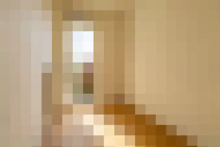 Wilhelminastraat 159 H Amsterdam thumbnail 17