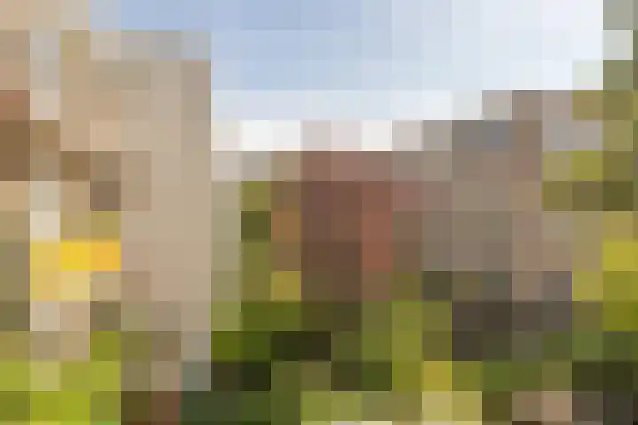 Wilhelminastraat 159 H Amsterdam thumbnail 19