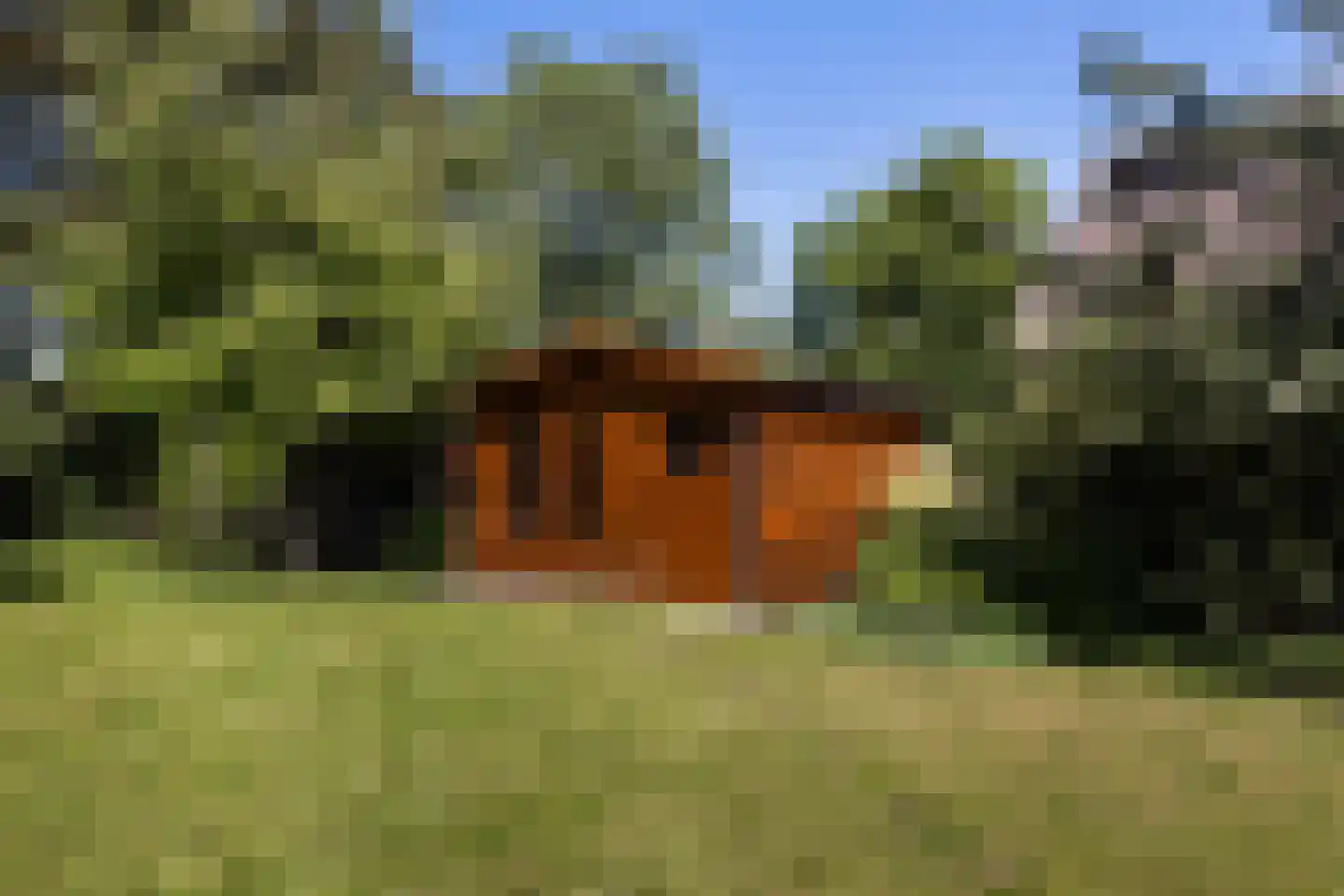 Wilhelminastraat 16 Beesd thumbnail 35