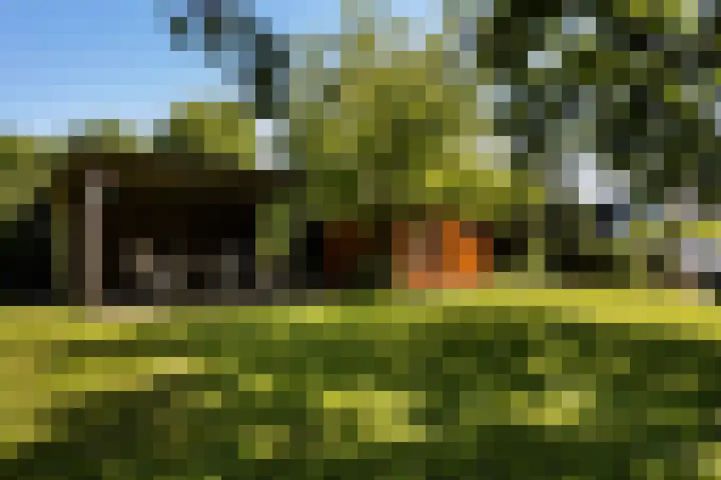 Wilhelminastraat 16 Beesd thumbnail 36