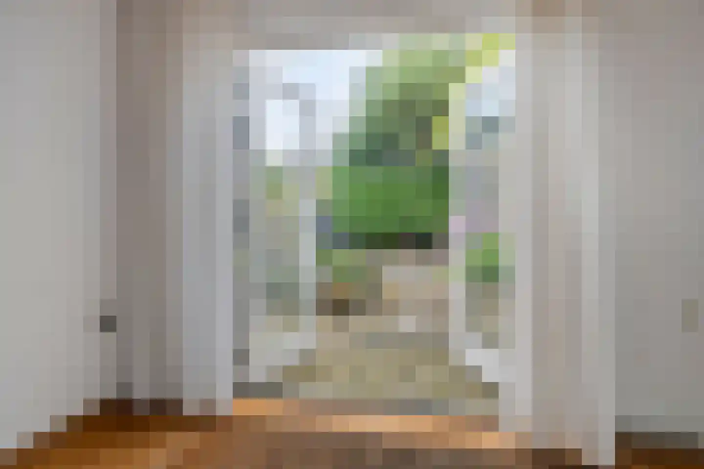 Wilhelminastraat 16 Bosschenhoofd thumbnail 14