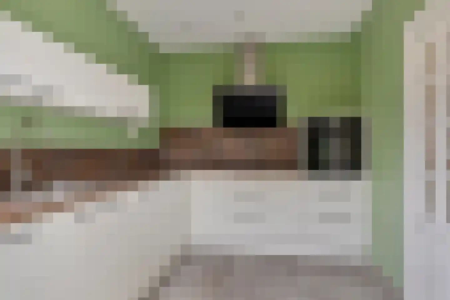 Wilhelminastraat 16 Bosschenhoofd thumbnail 19