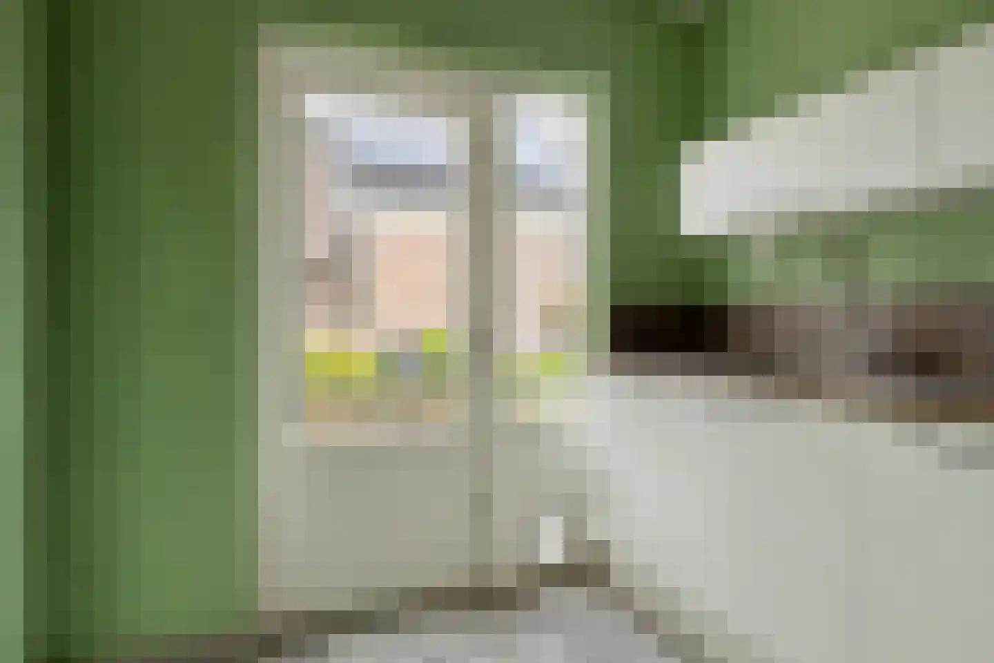 Wilhelminastraat 16 Bosschenhoofd thumbnail 21
