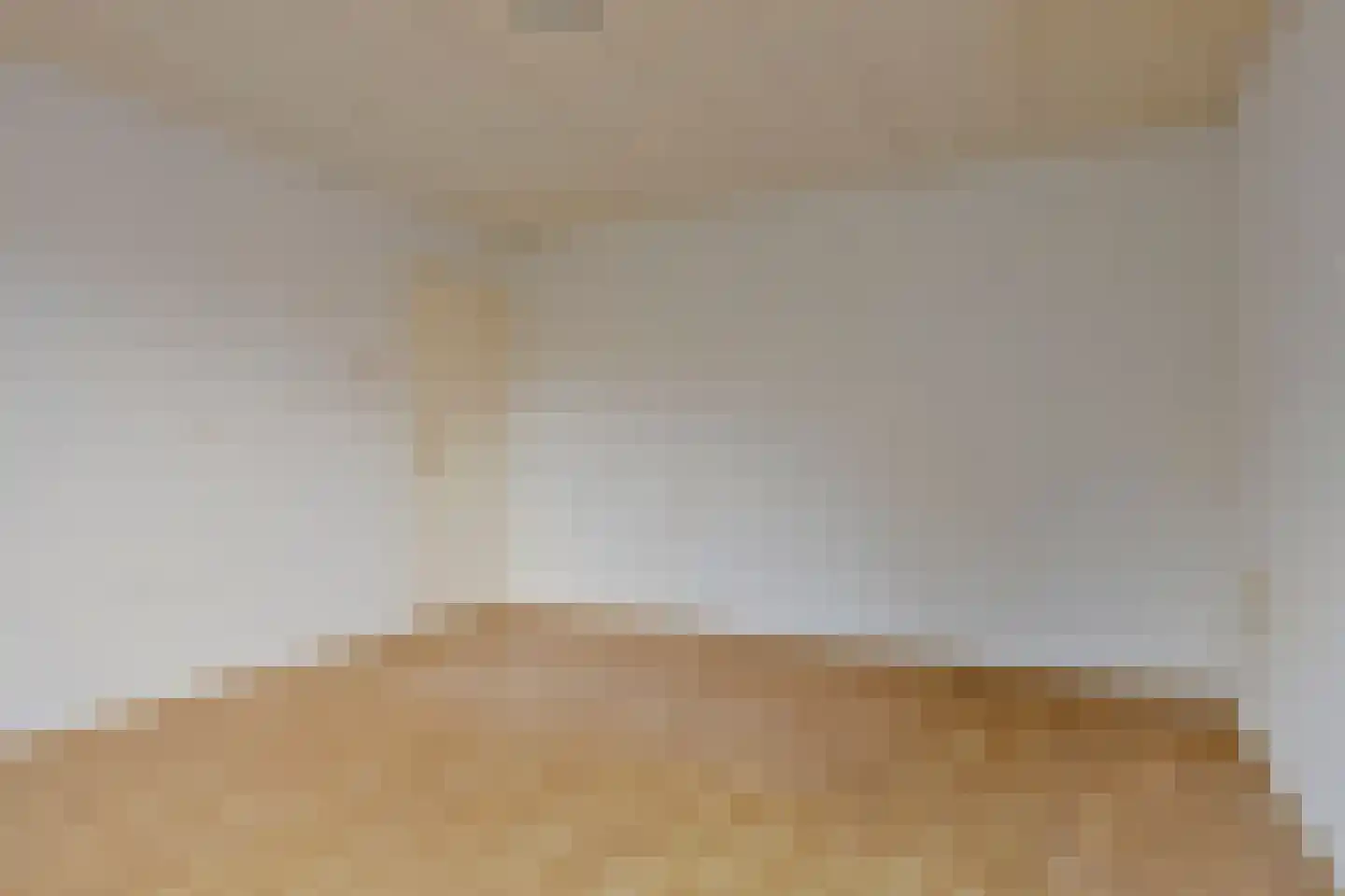 Wilhelminastraat 16 Bosschenhoofd thumbnail 25