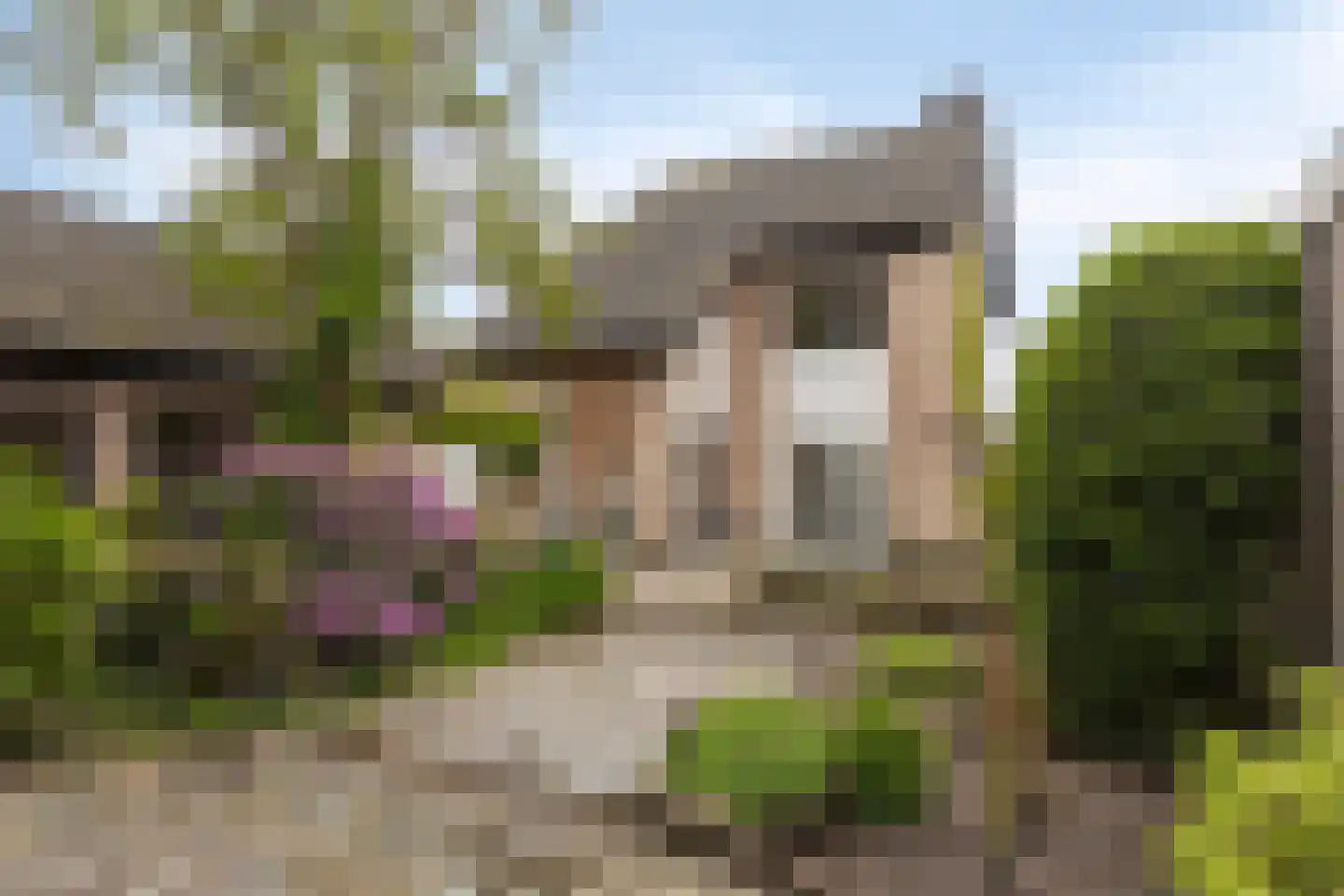Wilhelminastraat 16 Bosschenhoofd thumbnail 4
