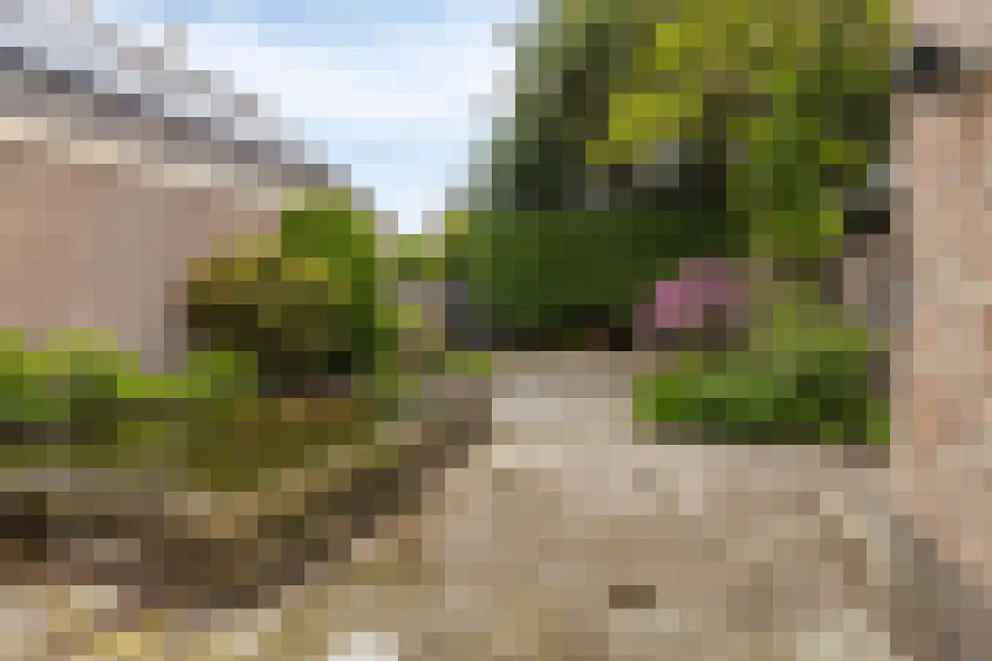 Wilhelminastraat 16 Bosschenhoofd thumbnail 40