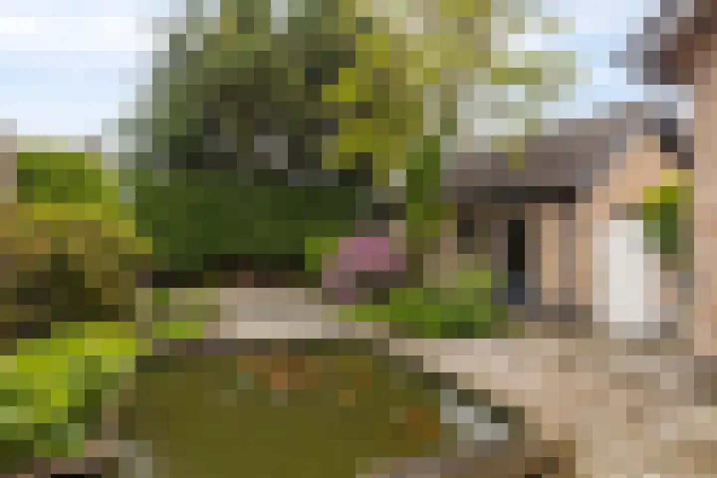 Wilhelminastraat 16 Bosschenhoofd thumbnail 41