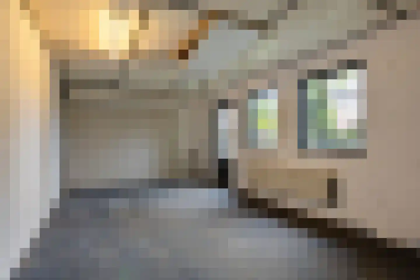 Wilhelminastraat 16 Bosschenhoofd thumbnail 46