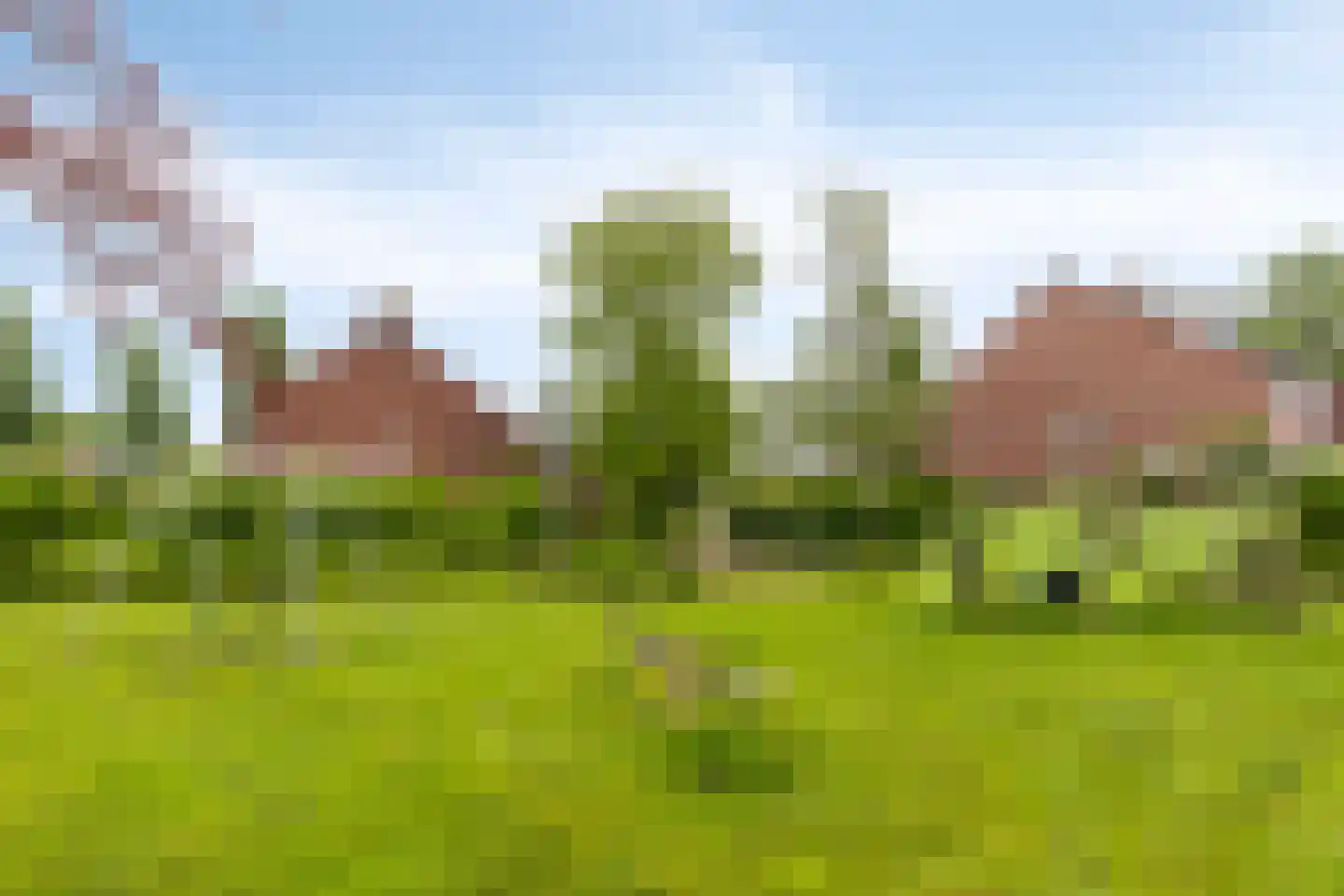 Wilhelminastraat 16 Bosschenhoofd thumbnail 52