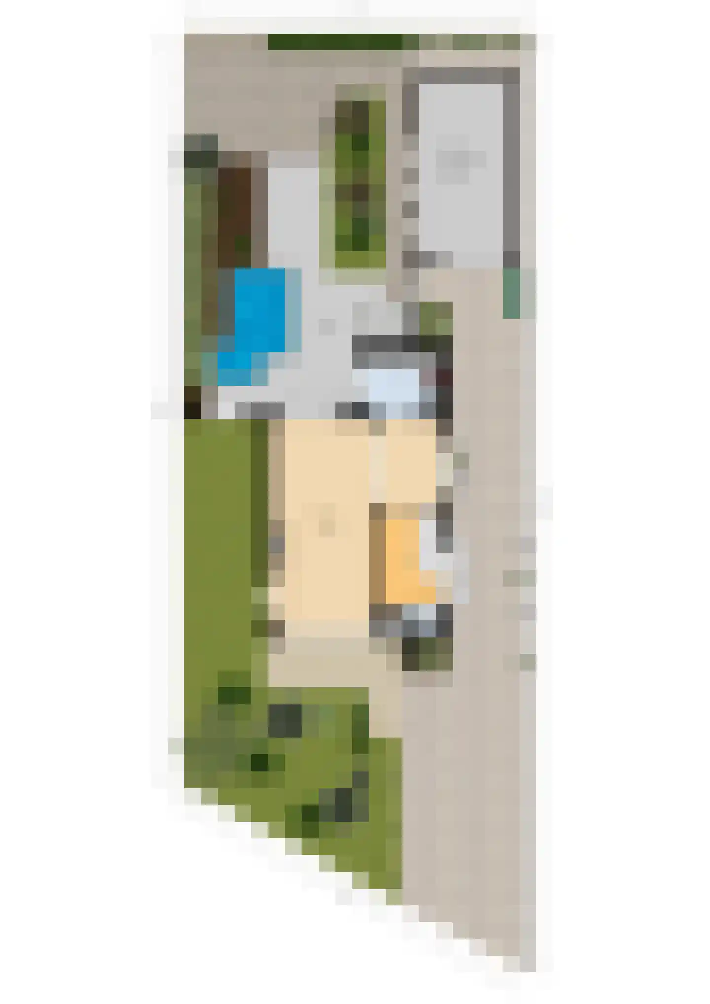 Wilhelminastraat 16 Bosschenhoofd thumbnail 59