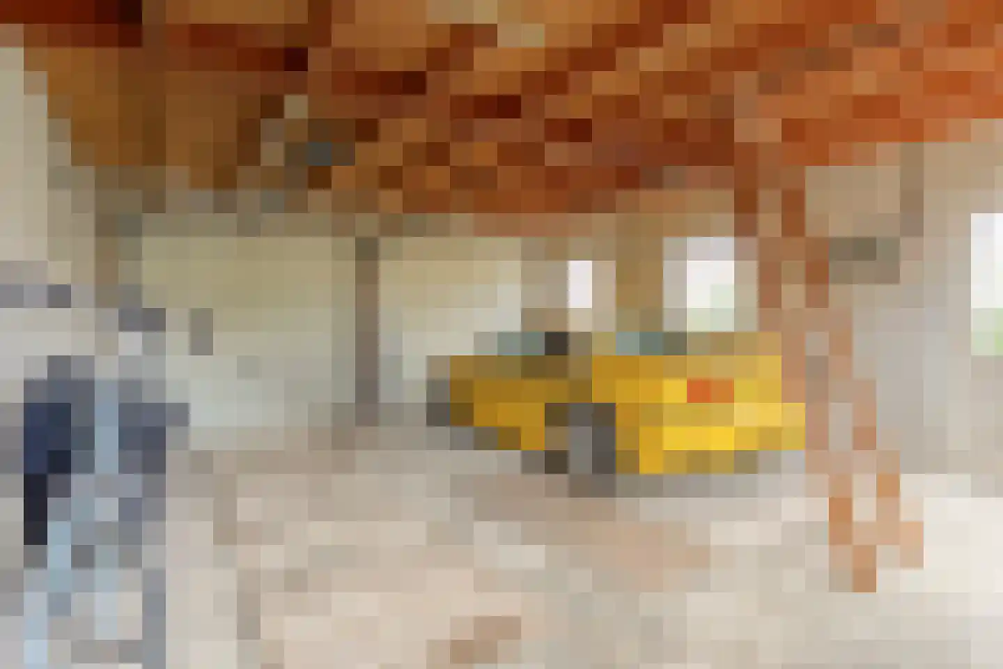 Wilhelminastraat 16 Mariahout thumbnail 34
