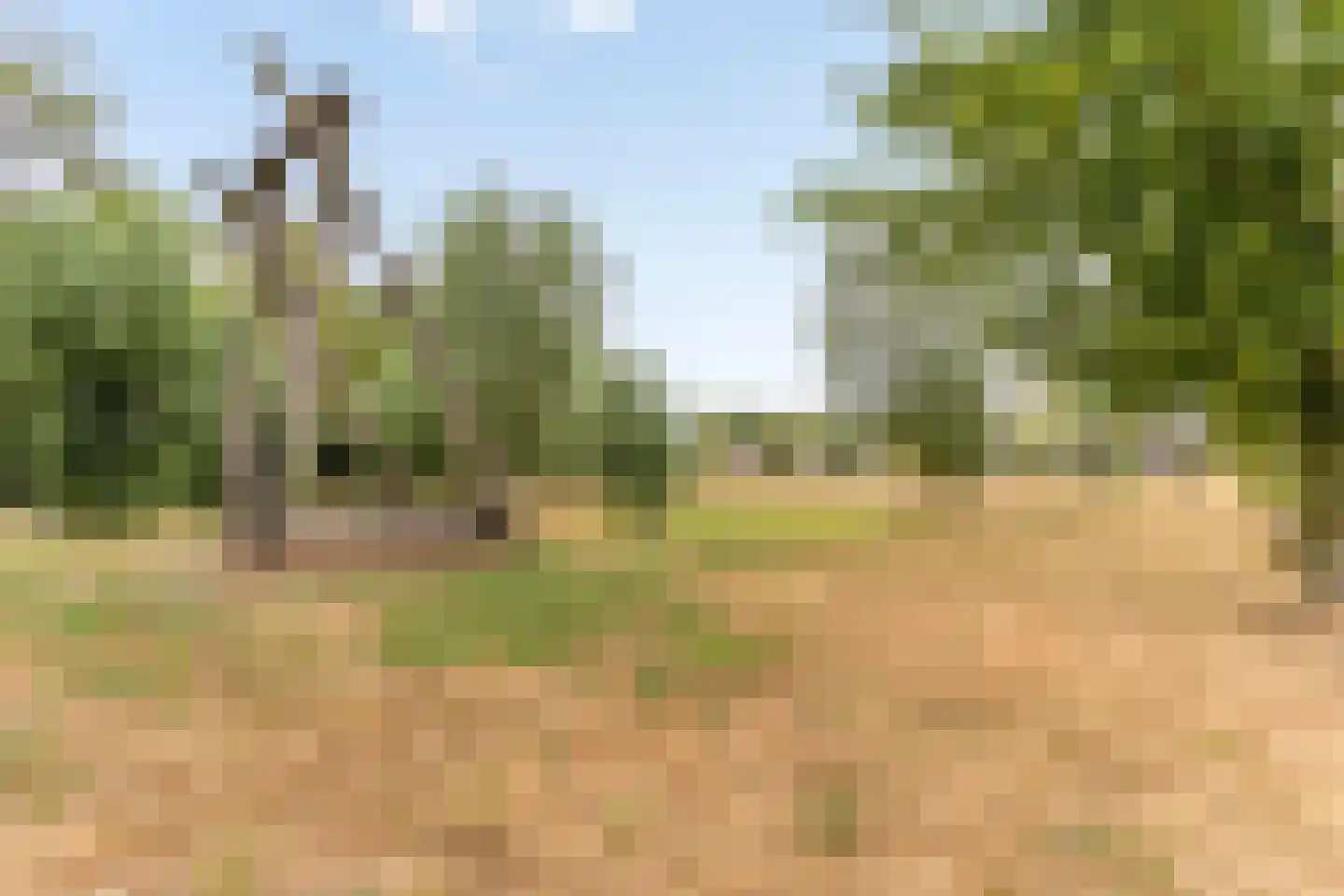 Wilhelminastraat 16 Mariahout thumbnail 36