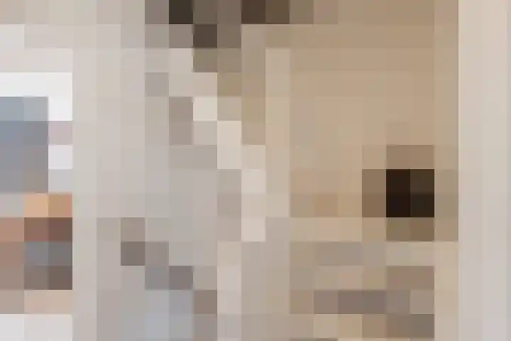 Wilhelminastraat 16 Meppel thumbnail 16