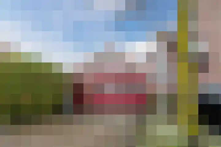 Wilhelminastraat 16 Meppel thumbnail 28